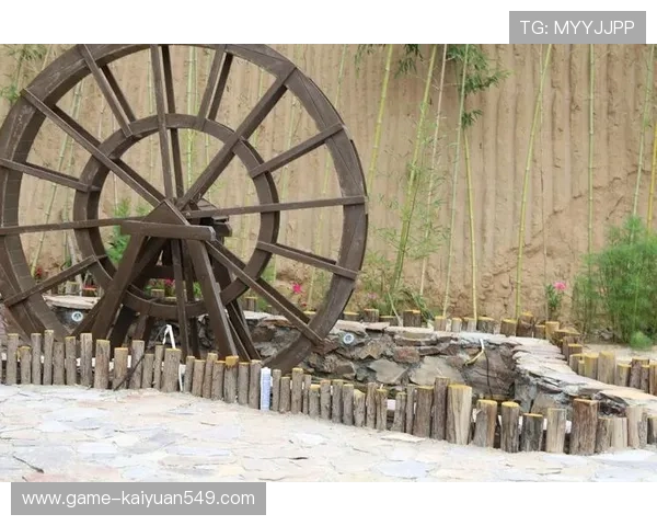 加入盈得利真人娱乐，开启您的真人线上娱乐新体验，享受丰富多彩的游戏内容