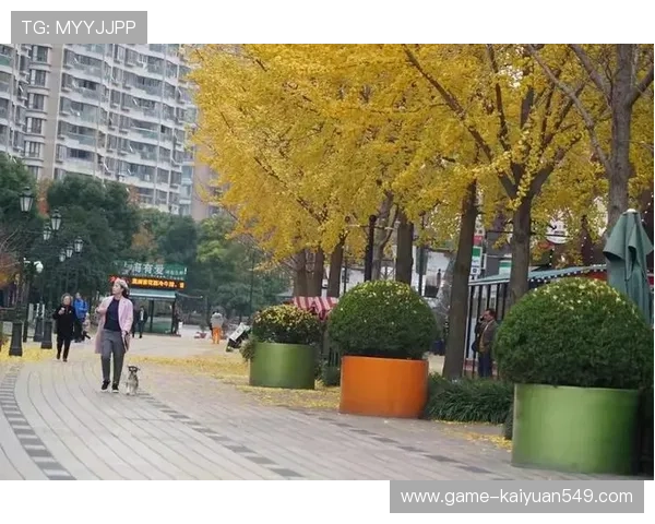 黄金城的交通便利性与出行方式全攻略