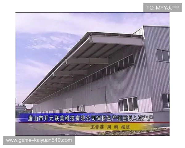 开元国际集团有限公司在全球市场中的竞争优势与核心业务分析